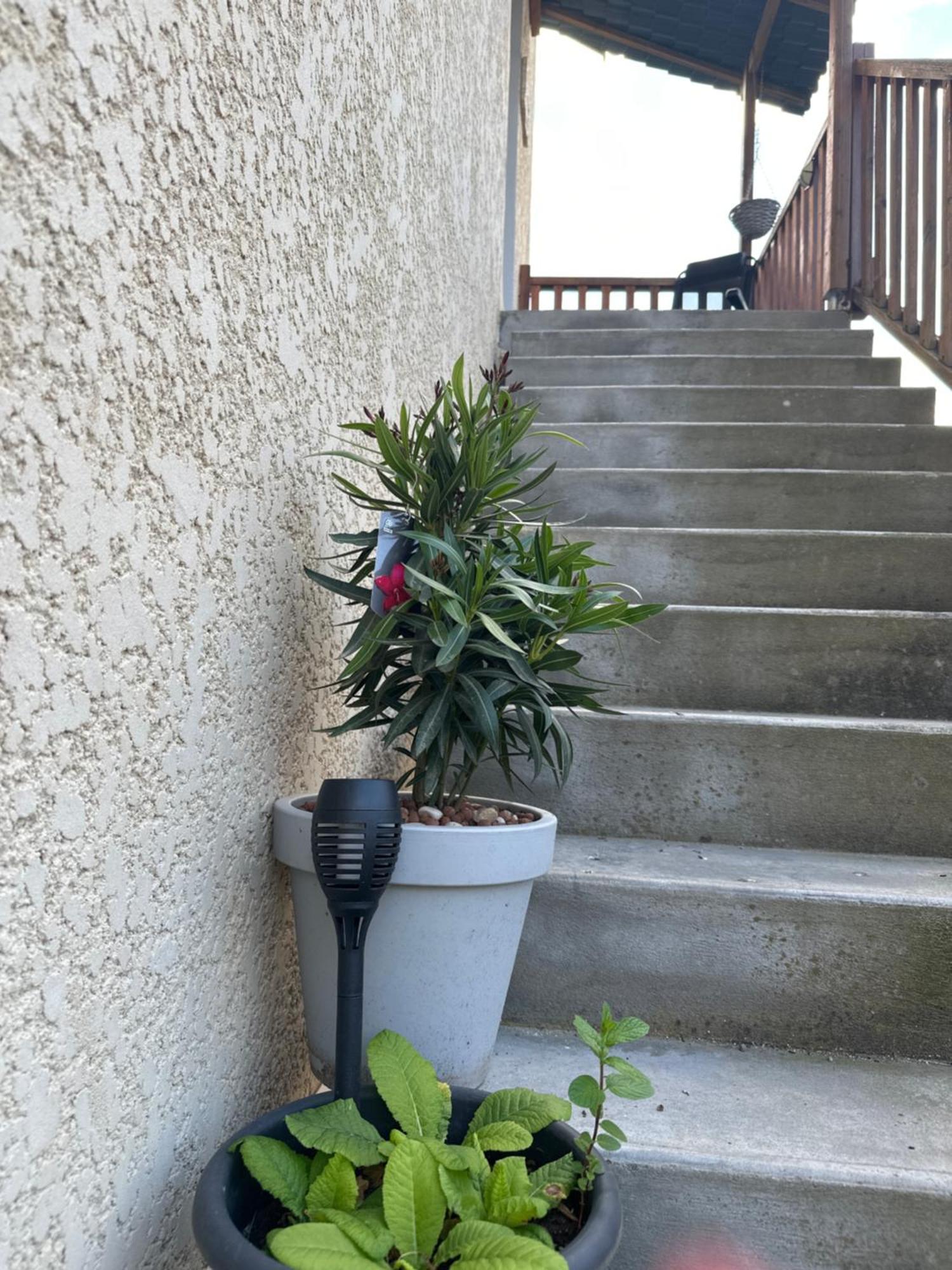 Sybelle Appart Scionzier Exterior foto
